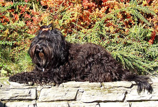 Kar-mi im Oktober 2012