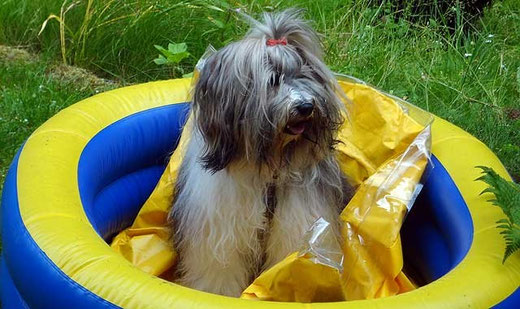Sie hat ein knallgelbes Gummiboot ...