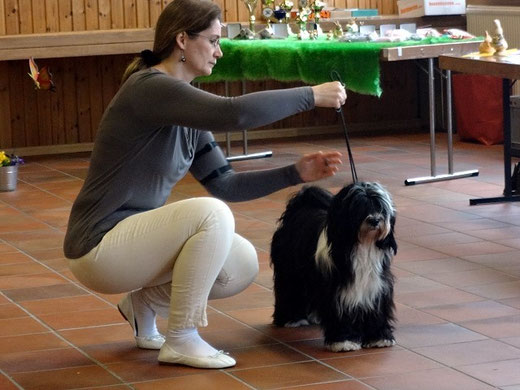 Lisha im Ring - Etzbach Tag 2