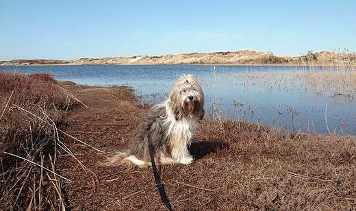 Grærup Sø