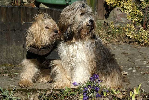 Indra und Milka