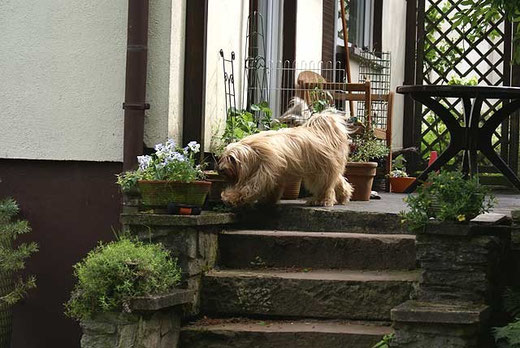 Futterbeutelsuche