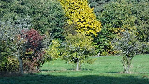 Herbst 2012