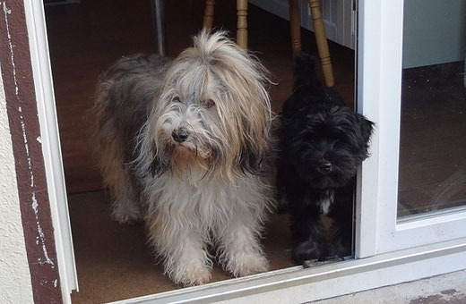 Milka und Yeshi - Februar 2014