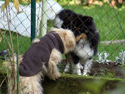 Freundinnen: Indra und Angel