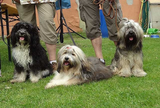 Enya, Milka und Prince Percy