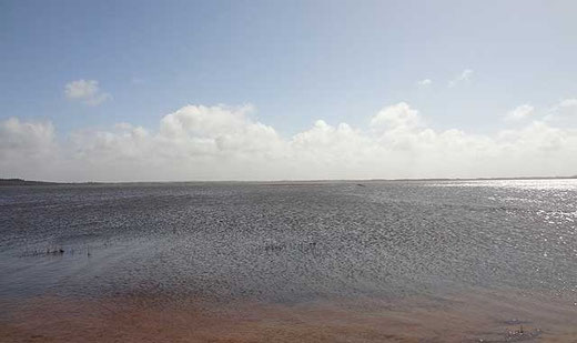 Filsø