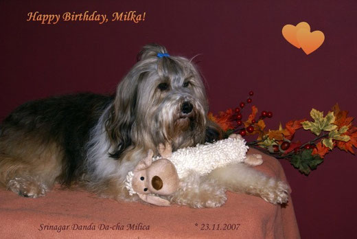 Milkas 5. Geburtstag