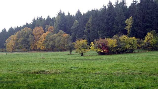 Ein trüber Herbsttag