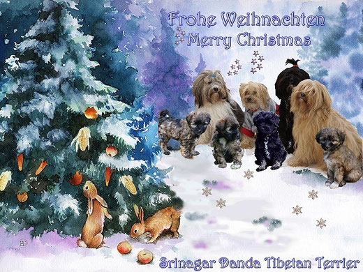 Frohe Weihnachten wünschen die Jungs und Mädels vom Tibet-Terrier-Zwinger Srinagar Danda