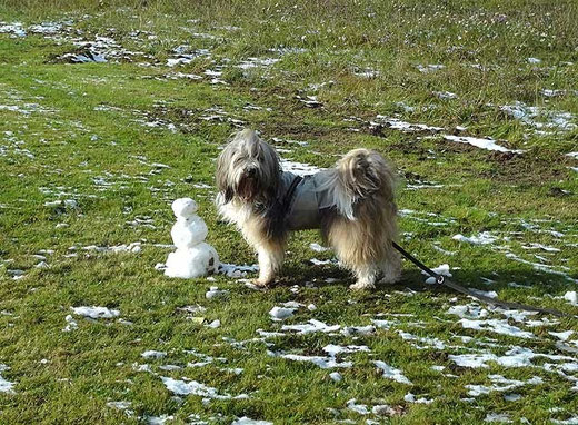 Milka und der kleine Schneemann