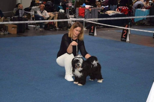 Lisha mit Frauchen Anja auf der CACIB Hannover 2015