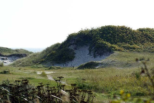 Hou Strand