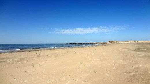 Blåvand Strand