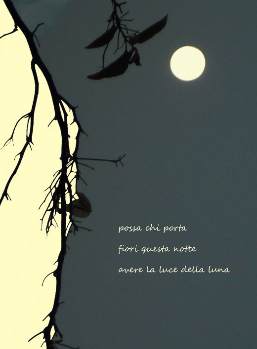 Di Leo Anna (Italia) – Haiku della luna – grafica digitale su carta - 25 x 34