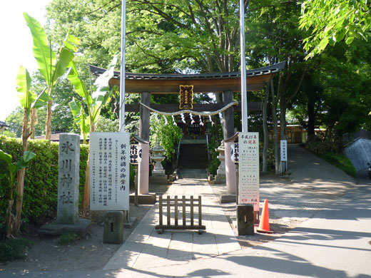 氷川神社参道と鳥居