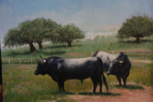 Toros de victorino martin