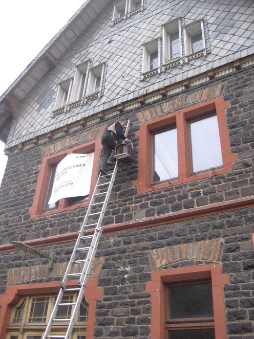 Artenschutz im Dorf - Am alten Bahnhof Unnau-Korb wird ein Nistkasten für Turmfalken angebracht.