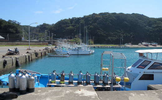 海中の景色が映える日差しです