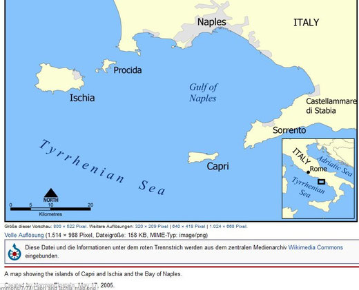 Lageplan Map Hotels Ischia Und Reiseinfo Ischia