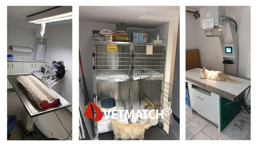 Untersuchungsraum + Kleintierstation mit Labor
