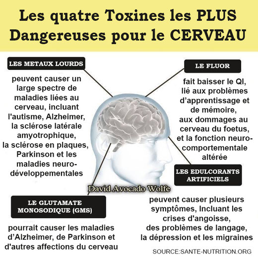 Effondrement total de l'intelligence des Français !!! - FLUOR - Covid 19 - Image