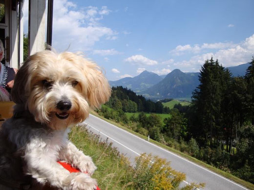 Bergbahn (Tirol)
