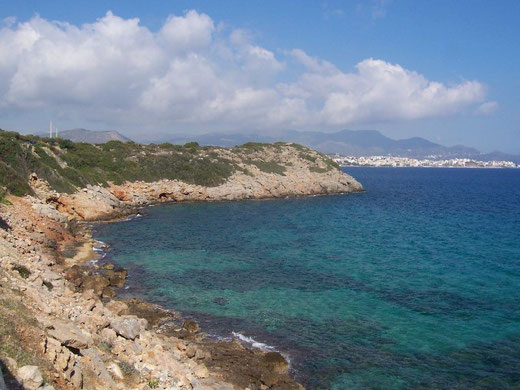 48 Coste di Creta (click sull'immagine per ingrandire)