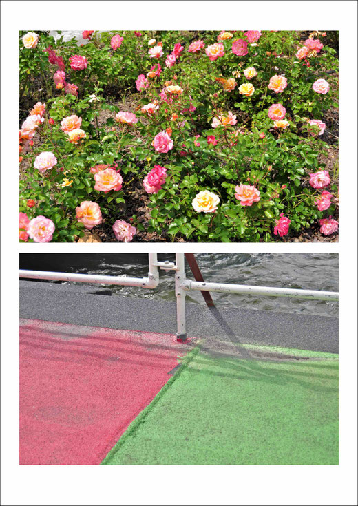 Flowerbed near the river Bacchiliogne in Padova |  Coloured markings on the ferry to Amsterdam-Noord