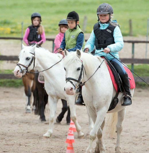 Reitkurs mit Jerry, Aladin, Daisy und Lulu