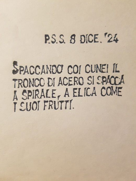 Diario 2000 Pieve Santo Stefano