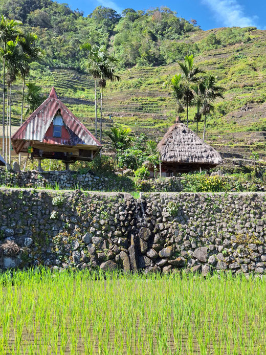 Cabanes de Batad