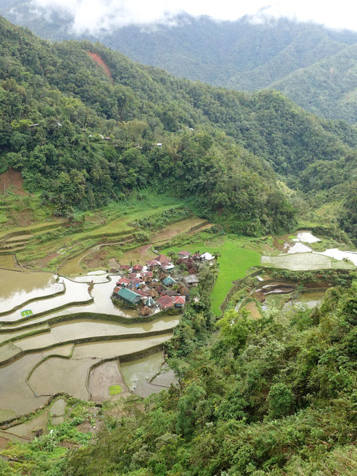 Village et rizières de Bangaan près de Batad