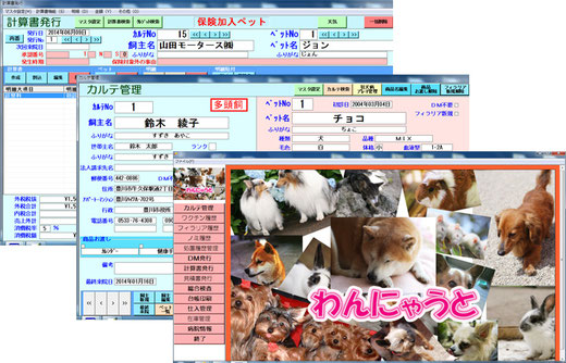 動物病院システム、獣医、システム、電子カルテ、カルテ管理、わんにゃうと、画像2