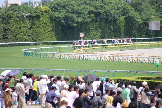 競馬　第４コーナー