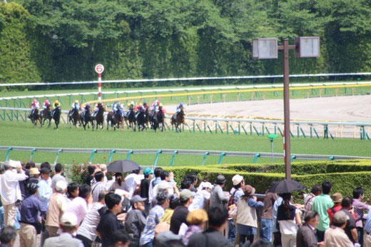 東京競馬場　第４コーナー