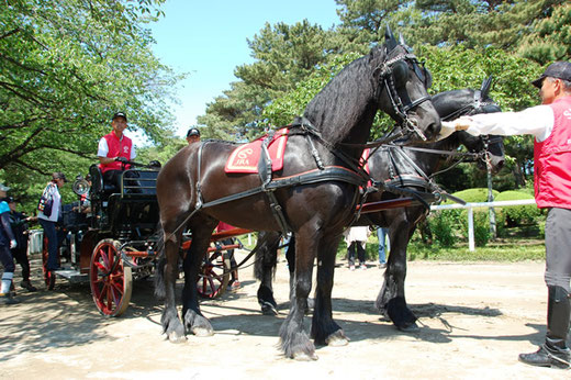 馬事公苑　馬車