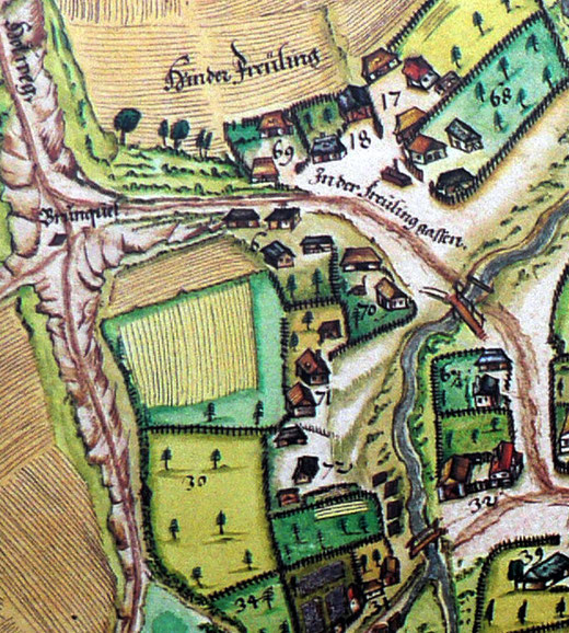 Ausschnitt aus der genordeten Pfinzing-Ortskarte Henfenfelds von 1592. Indizien für das frühmittelalterliche Freiling: Flur- und Wegnamen "Hinter Freiling und "In der Freilinggassen"."
