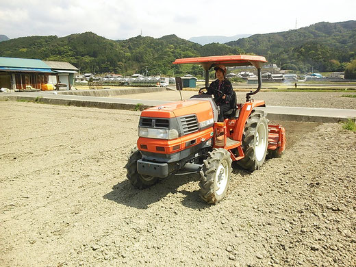 緑肥播種後のトラクター耕耘