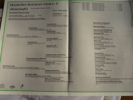 Ahnentafel F - Wurf