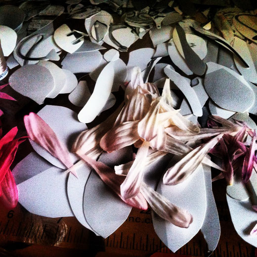 Petals, a project, for the American Craft Council using their archived photographs. 