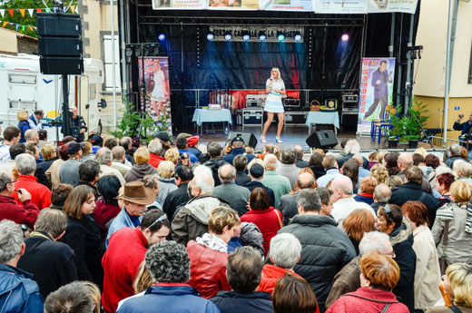 FOIRE AUX PANSETTES GERZAT OCTOBRE 2013 photo : Jean-Jacques Chatard