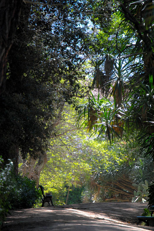 Im Jardim Botanico