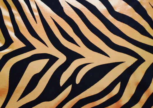 タイシルク クッションカバー 　ゼブラ デザイン　オレンジ 【Zebra Design , Orange】 45×45cm 対応の商品画像02