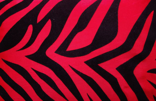 タイシルク クッションカバー 　ゼブラ デザイン　レッド 【Zebra Design , Red】 45×45cm 対応の商品画像02