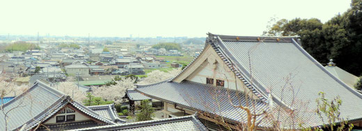 大念寺