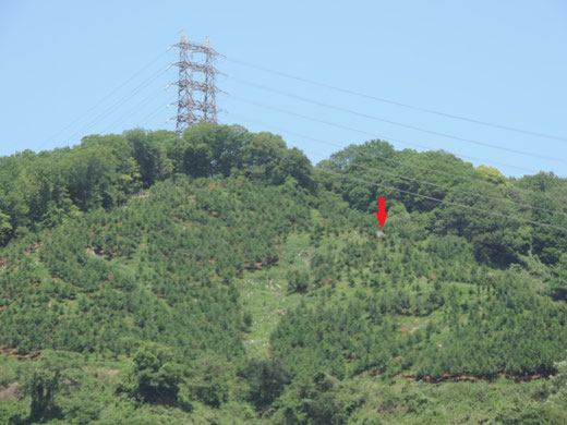 赤い矢印の場所が光明石（クリックして拡大）