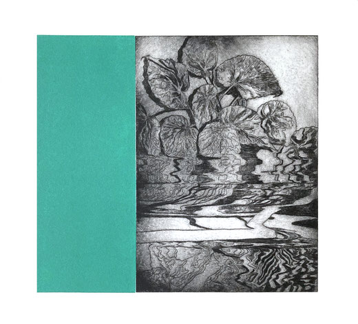 #plants_make_me_happy • 2023 • intaglio print on paper • 1/1 • 26,7 x 29,1 cm