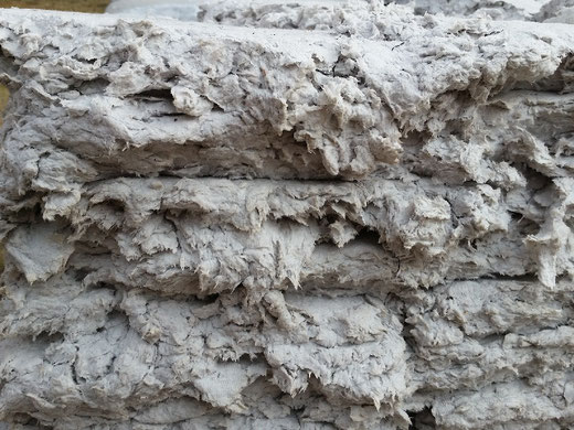 + Celulosa para Fca. Papel - Página web de rollostetrapack