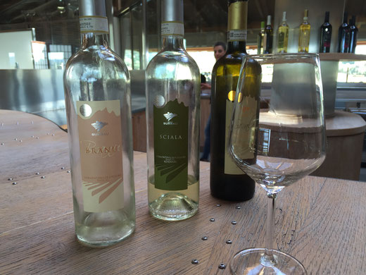 Vermentino-Degustazione. Vom feinsten.